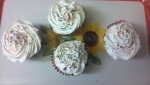 1dz Cupcakes